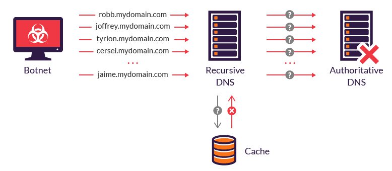 DNS DDoS Protection Protect DNS Server Against DDoS Attack