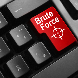 Brute Force Attack Website