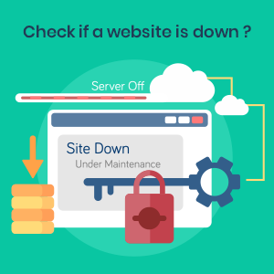 How to check if a website is down?