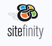 Website Security for sitefinity