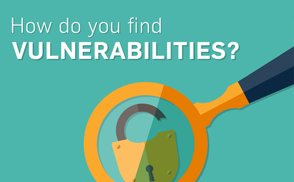 find vulnerability website